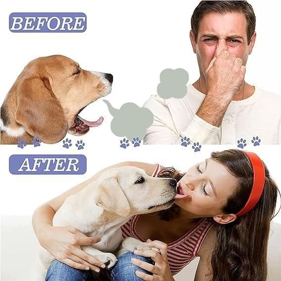Pet Oral Care Spray 100ml || No Brushing || Pack of 2