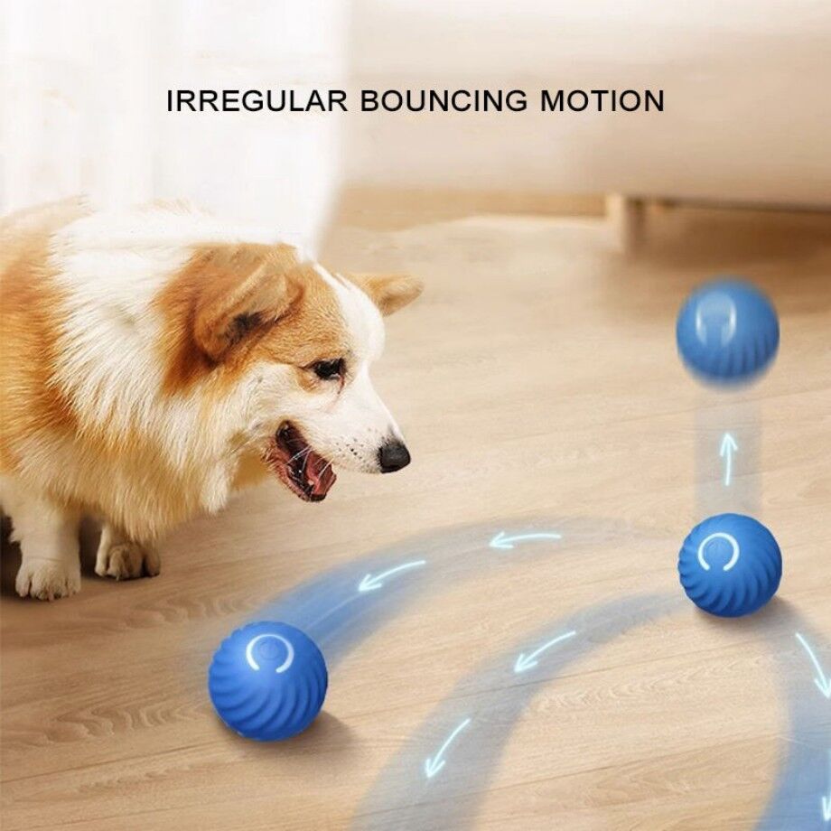 Smart Gravity 360 Self Roller Ball - PET TOY