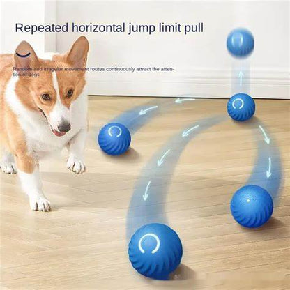 Smart Gravity 360 Self Roller Ball - PET TOY