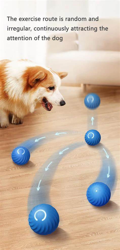 Smart Gravity 360 Self Roller Ball - PET TOY