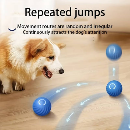 Smart Gravity 360 Self Roller Ball - PET TOY